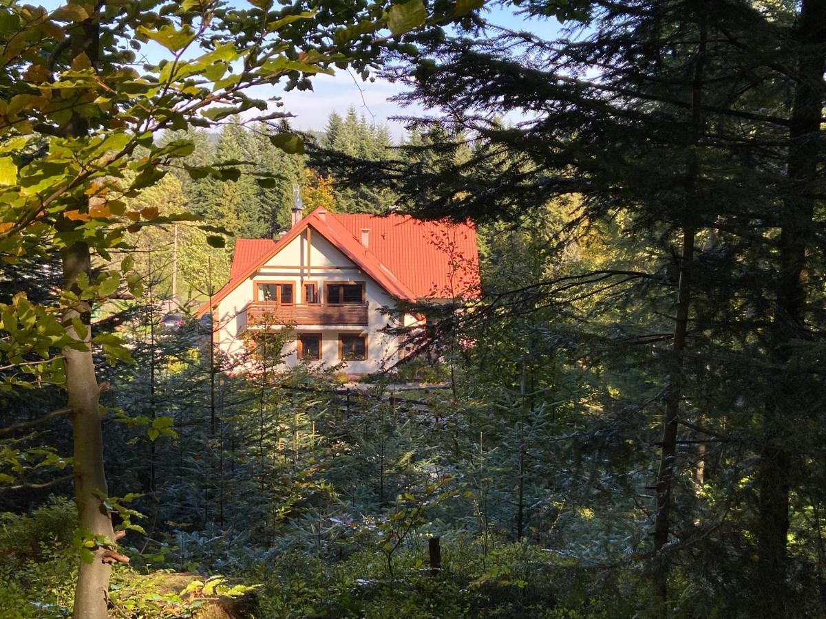 Agroturystyka Sarni Stok Villa Krynica Zdroj Exterior photo